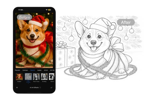 Free and Easy to Use