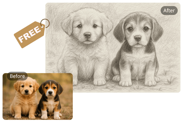 Free to Try – No Sign-up Required