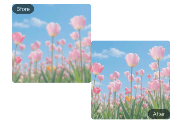 AI Blur Remover Supports Popular Image Formats