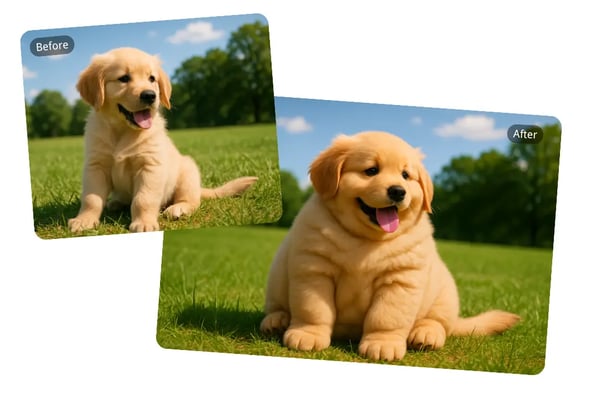 Create Adorably Plump Pets with Our AI Fat Generator