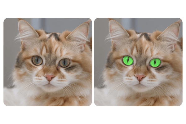 AI Eye Color Changer for Pet Eye Color Edits