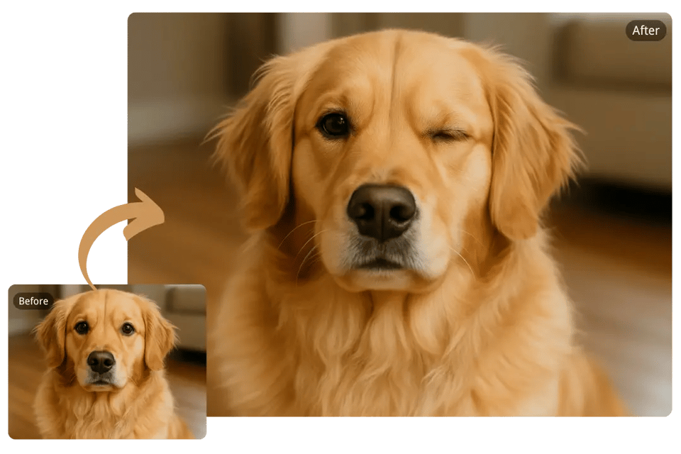AI Wink Filter That Makes Pet Photos Irresistible