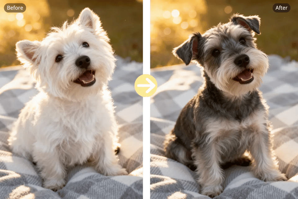 Image Edit with Fine-Grained Control