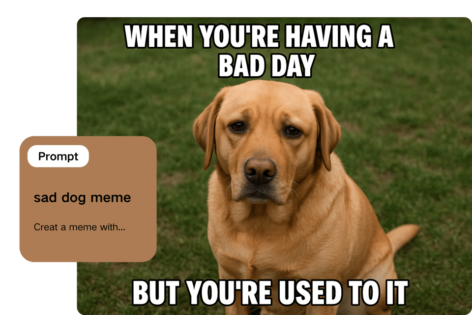 News and Trend Amplification