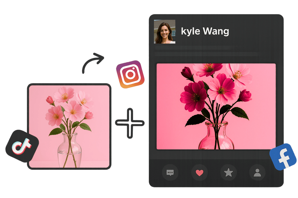 Social Media Visuals