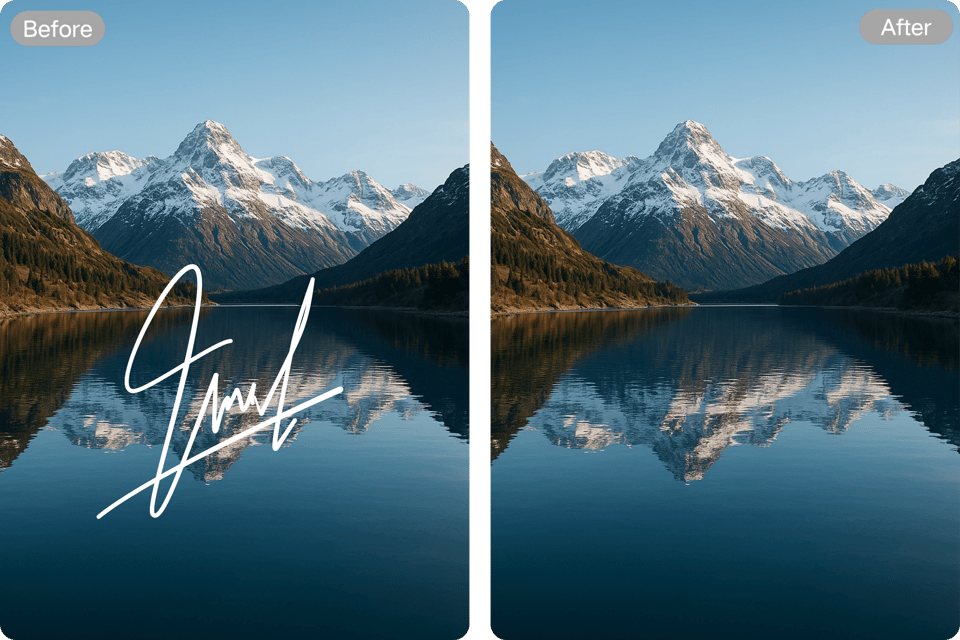 Outil de suppression de signature pour utilisation personnelle et professionnelle