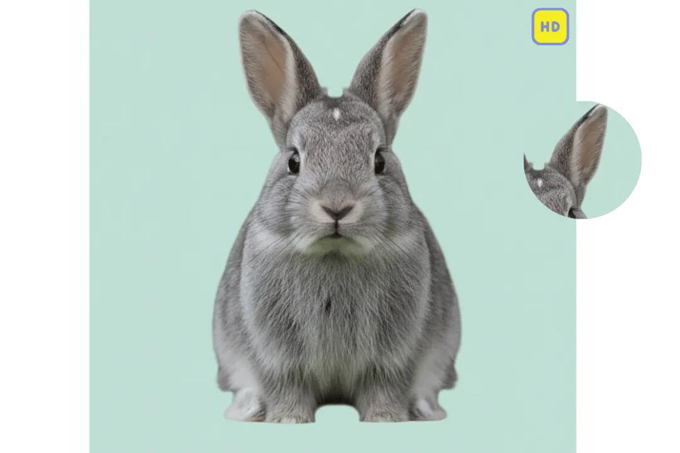 High-Resolution, Print-Ready Pet ID Output