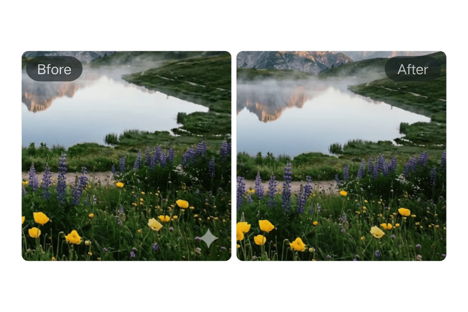 Bylo AI 提供免费在线 Gemini 水印移除器