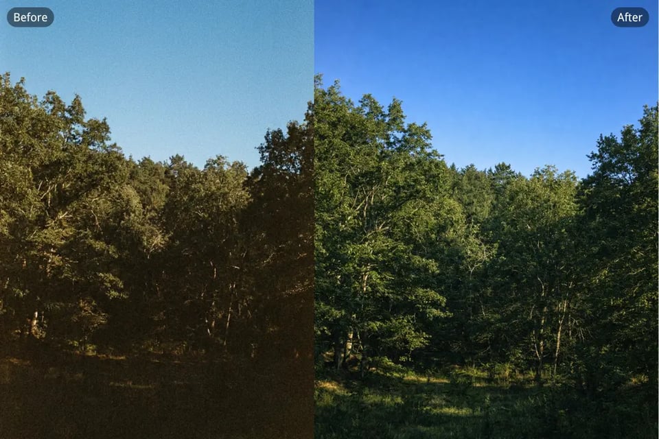 Clean Up Noise in Landscape and Nature Photography